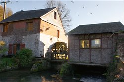 Moulin du Haut-Pas sur la rivire Ranon - Saint-Wandrille-Ranon